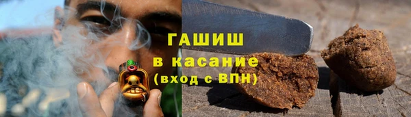 сатива Заводоуковск