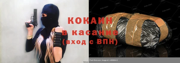 сатива Заводоуковск