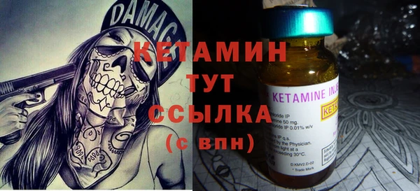 сатива Заводоуковск