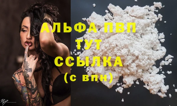сатива Заводоуковск