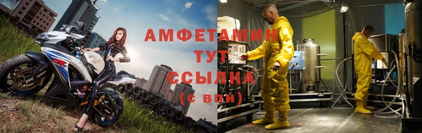 сатива Заводоуковск
