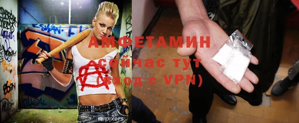 сатива Заводоуковск