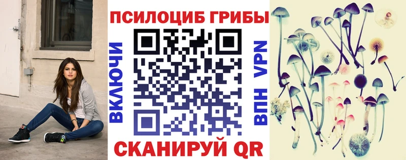 Псилоцибиновые грибы Magic Shrooms  Тогучин 