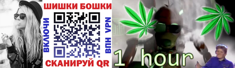 где купить   Тогучин  мега как войти  Шишки марихуана Amnesia 